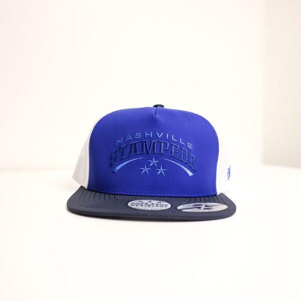 Hooey Wordmark Hat