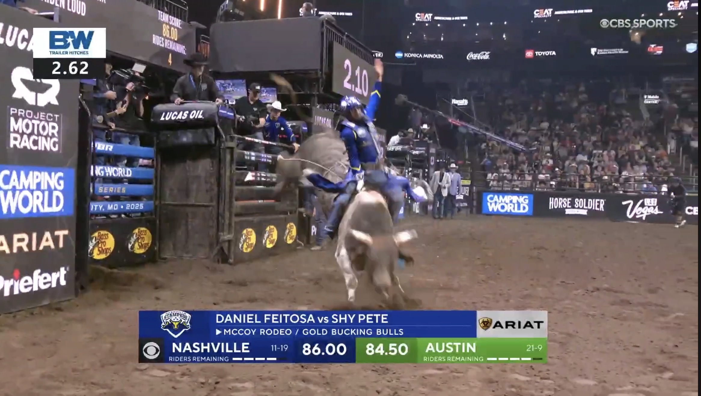 Daniel Feitosa on Shy Pete
